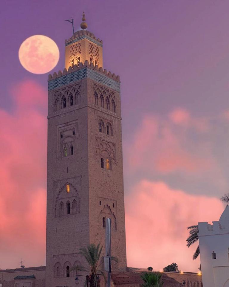 Tours en Marruecos desde Marrakech