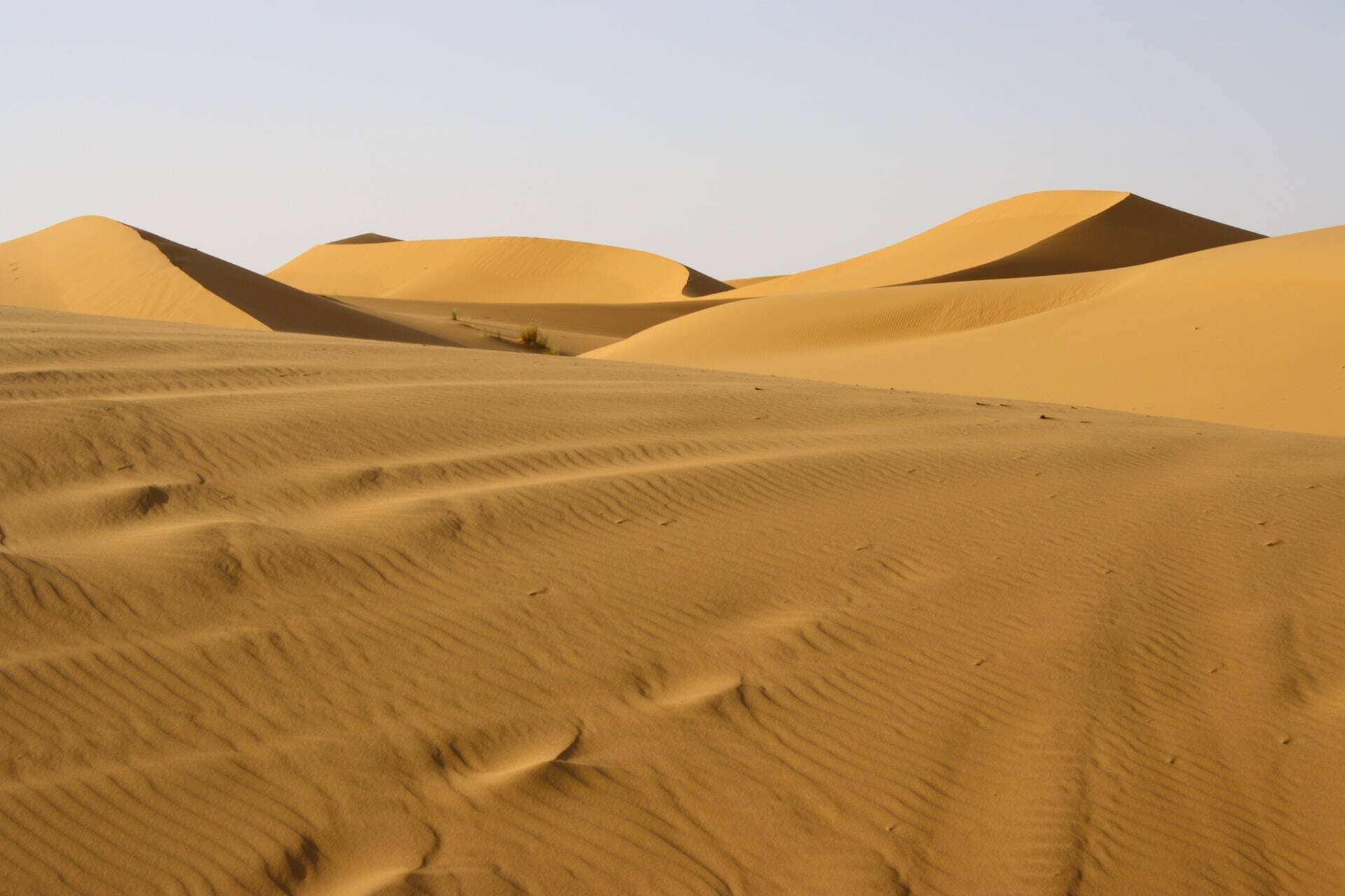 El desierto de Zagora donde pasarás la noche con nuestro tour de 2 días desde Marrakech