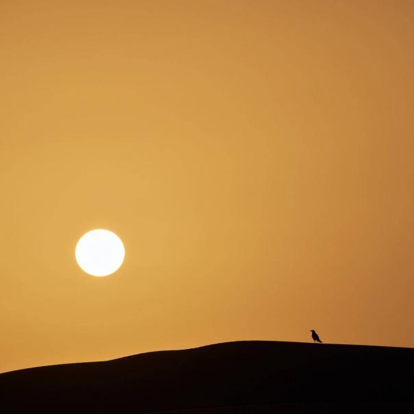La puesta de sol en las dunas de Erg Chebbi es una de las actividades en el desierto que harás durante tu viaje de 4 dias de Marrakech a Fez