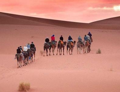 Morocco camel trekking, the best activity you will do with our tour of 9 days starting the itinerary from Tangier