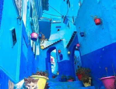 chefchaouen with the best 9 days tour itinerary from casablanca