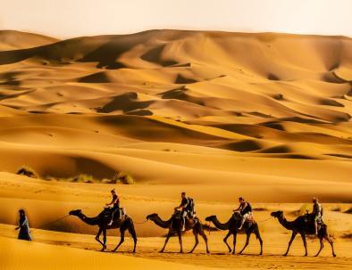Merzouga camel rides
