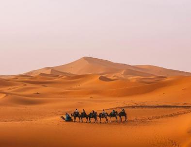 Another caravan photo of the camel, the best experience to do in our tour of 5 days from Fes to Marrakech across the desert