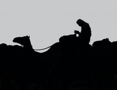 camel ride with Zagora 2 days tour from Marrakech