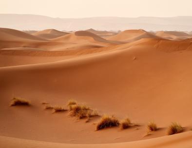 4 days tour in Morocco from Agadir