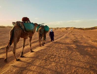 Itinerary for 5 days in Morocco from Marrakech to Fes