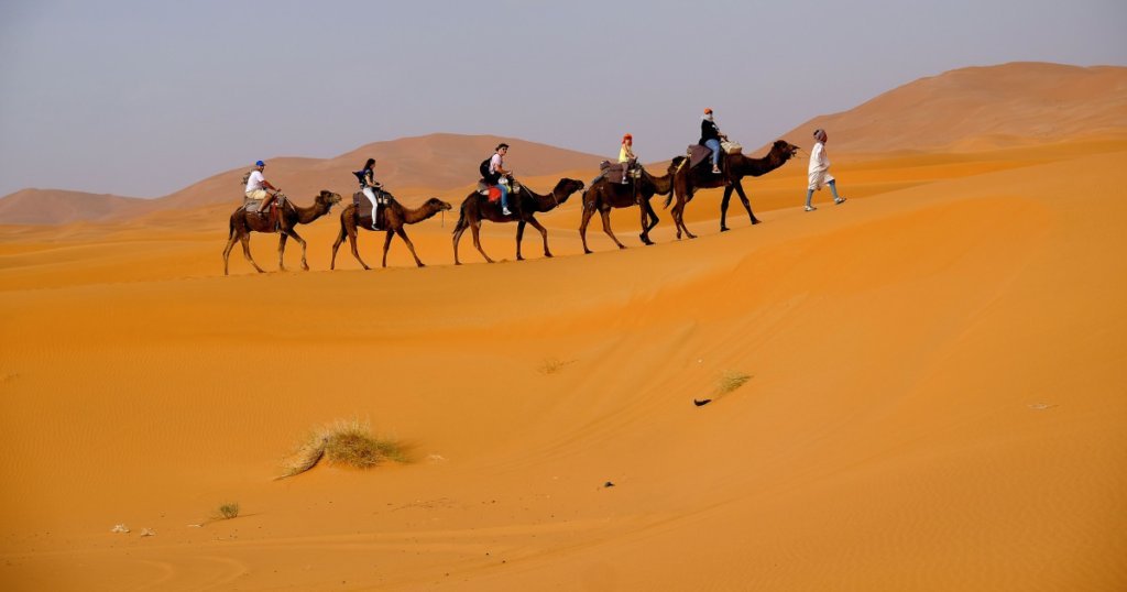 Camel ride in Morocco desert to experience the real facts of them